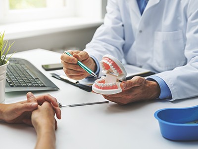 Dentist showing patient model of teeth